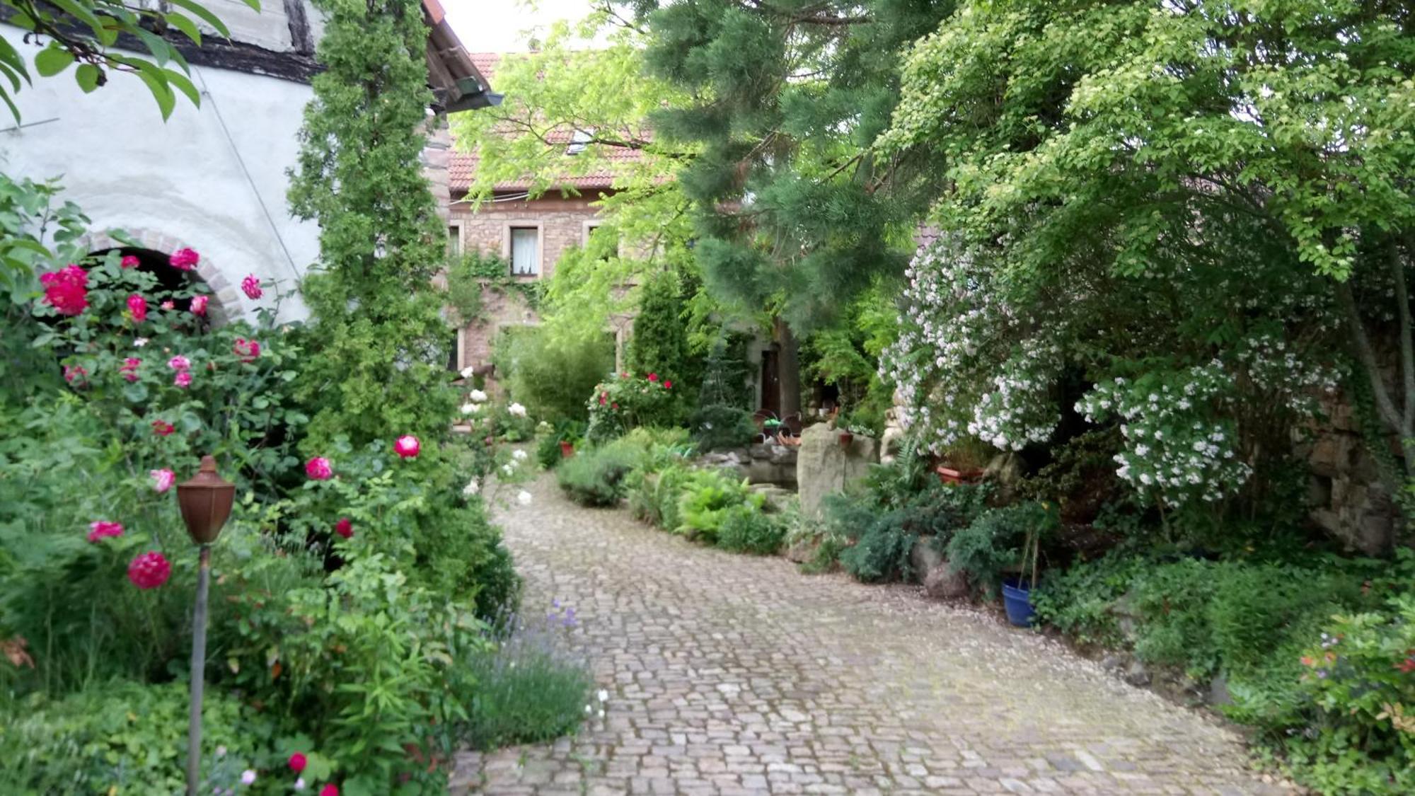 Dannenfels"El Patio" Am Donnersberg公寓 外观 照片