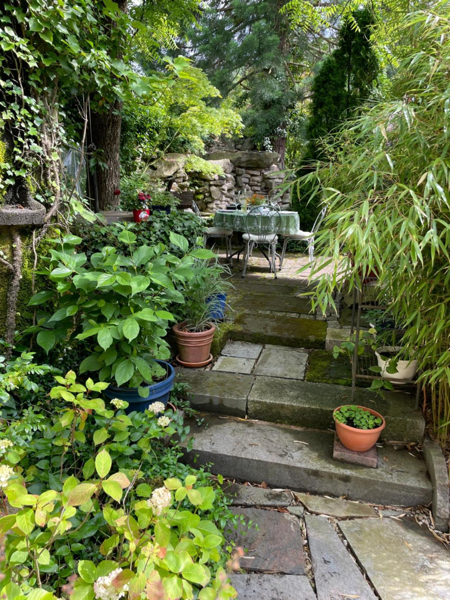 Dannenfels"El Patio" Am Donnersberg公寓 外观 照片