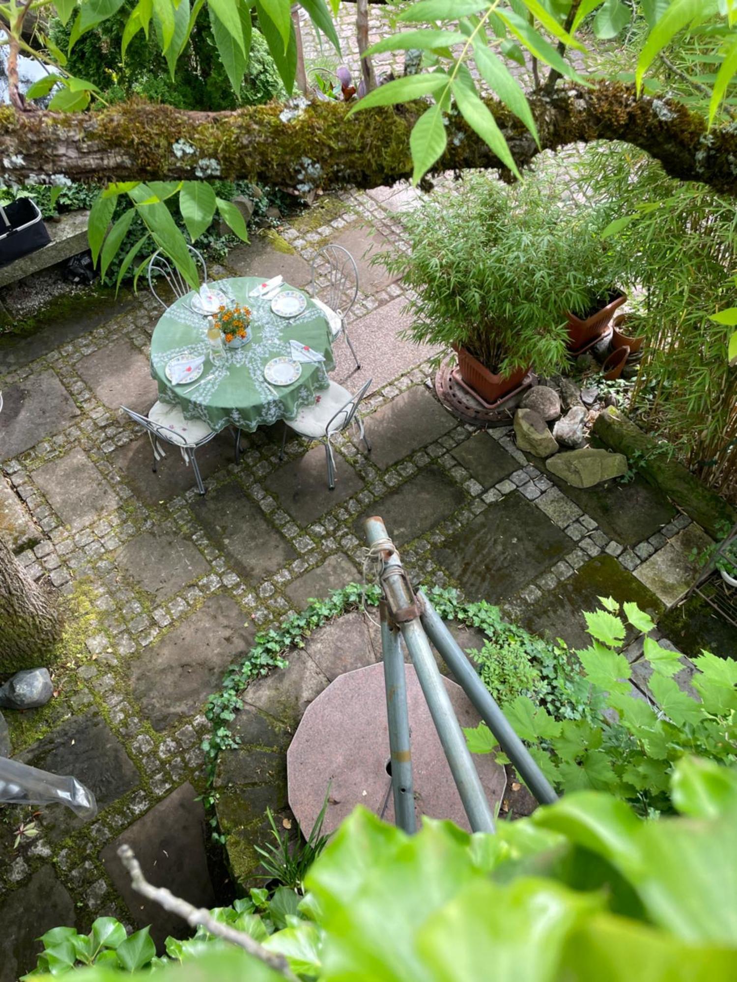 Dannenfels"El Patio" Am Donnersberg公寓 外观 照片