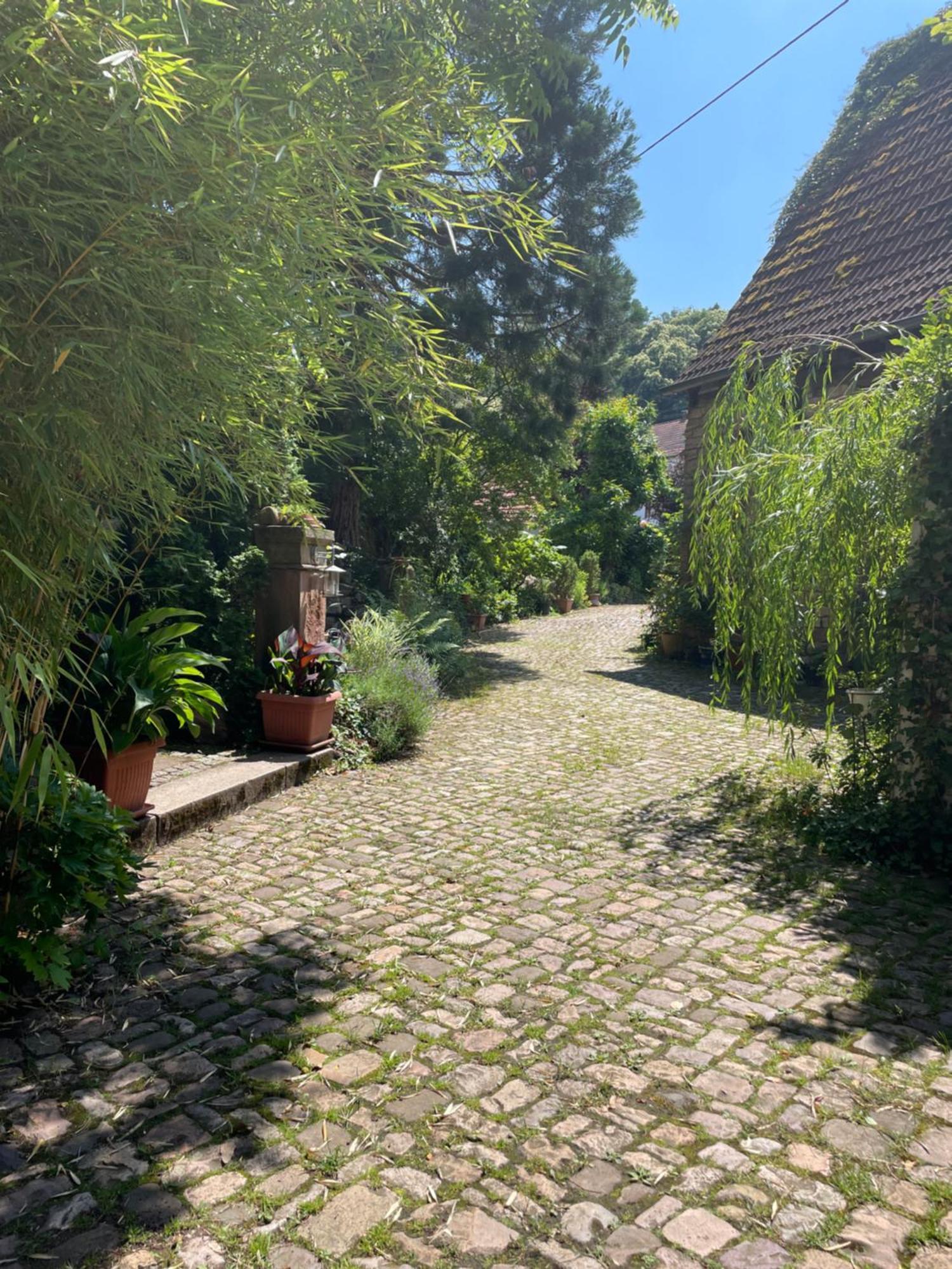 Dannenfels"El Patio" Am Donnersberg公寓 外观 照片