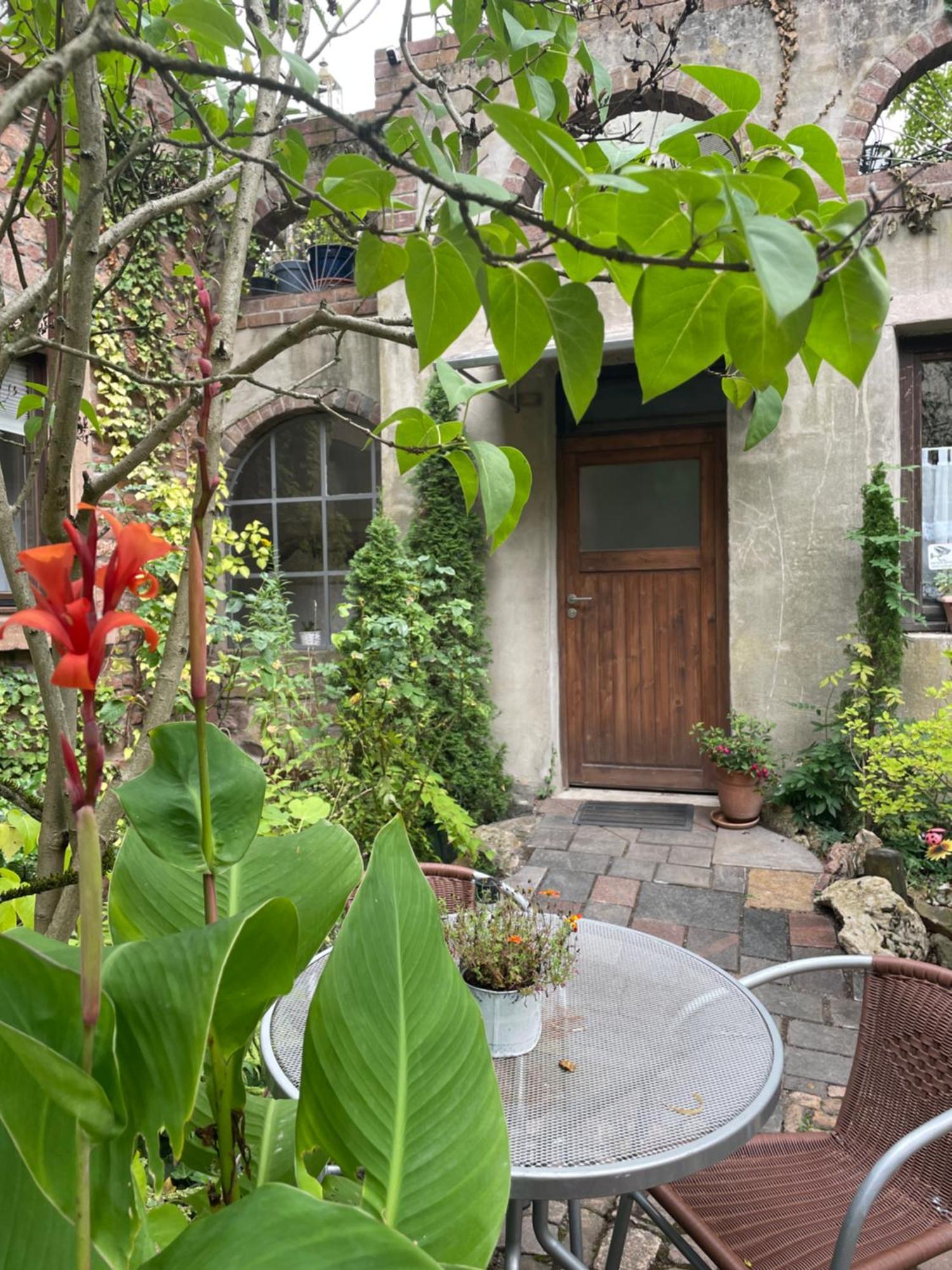 Dannenfels"El Patio" Am Donnersberg公寓 外观 照片