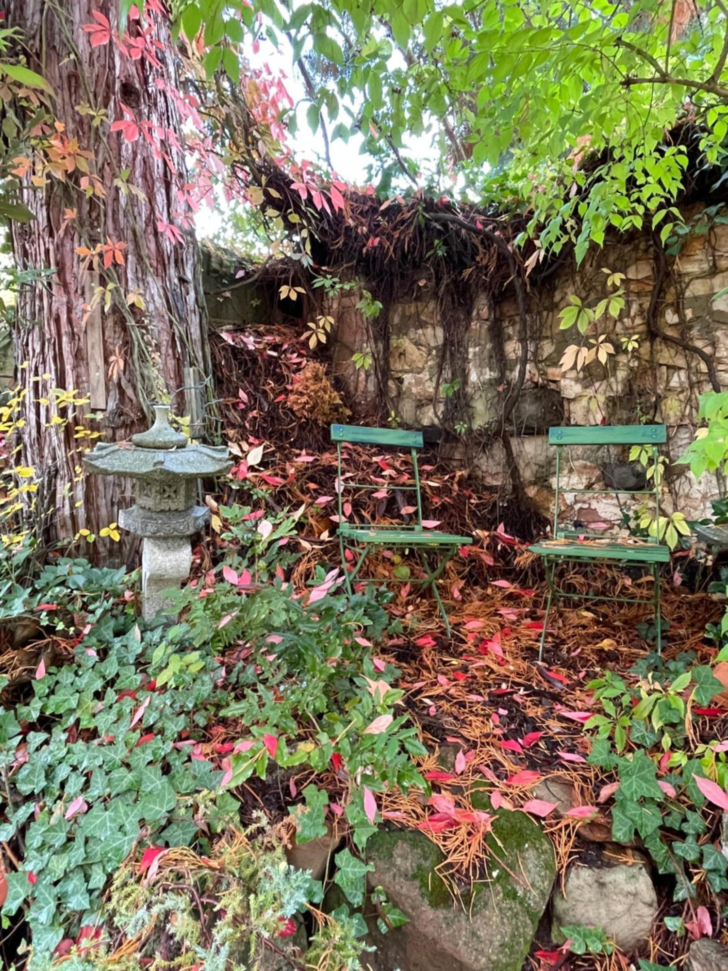 Dannenfels"El Patio" Am Donnersberg公寓 外观 照片